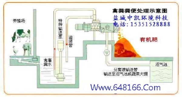 牛粪茄子视频懂你的更多